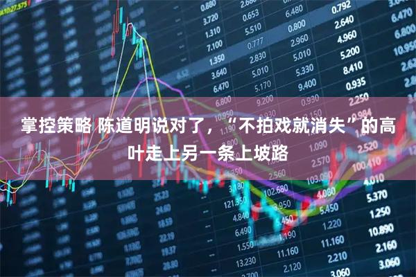 掌控策略 陈道明说对了，“不拍戏就消失”的高叶走上另一条上坡路