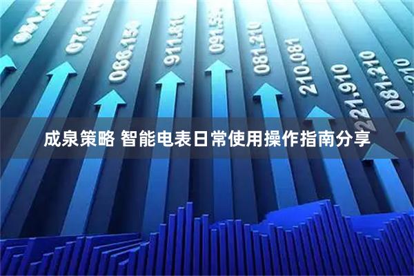 成泉策略 智能电表日常使用操作指南分享