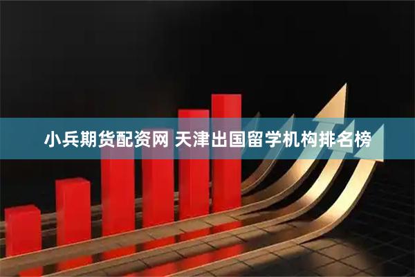 小兵期货配资网 天津出国留学机构排名榜