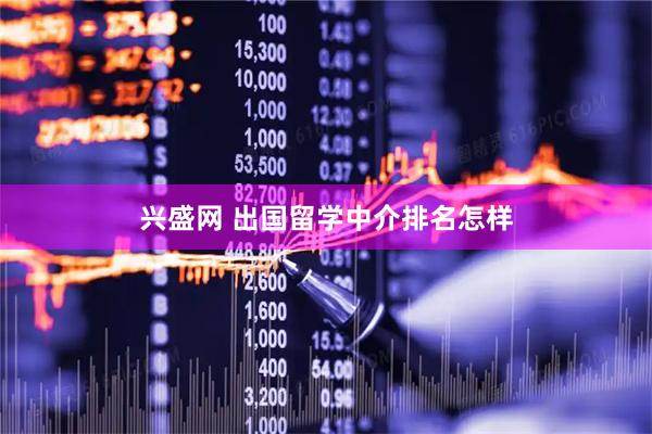 兴盛网 出国留学中介排名怎样
