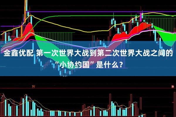 金鑫优配 第一次世界大战到第二次世界大战之间的“小协约国”是什么？