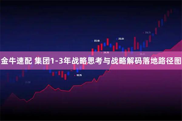 金牛速配 集团1-3年战略思考与战略解码落地路径图